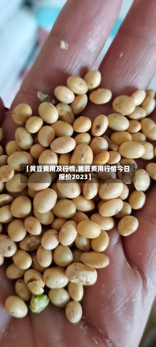 【黄豆费用及行情,黄豆费用行情今日报价2023】-第1张图片