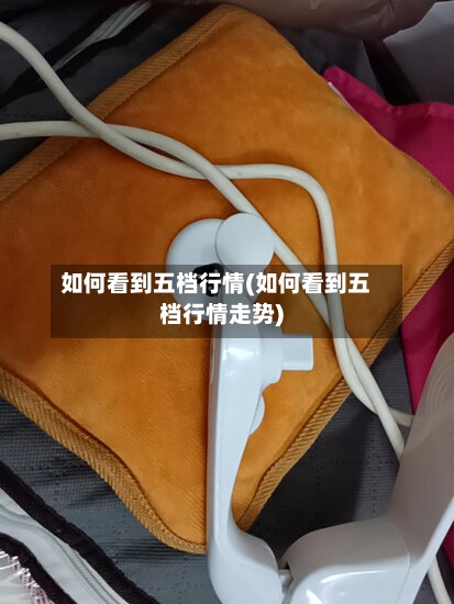 如何看到五档行情(如何看到五档行情走势)-第3张图片