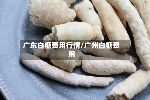 广东白糖费用行情/广州白糖费用-第2张图片