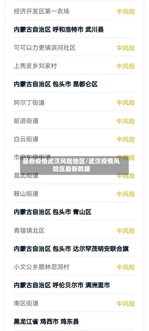 最新疫情武汉风险地区/武汉疫情风险区最新数据-第1张图片