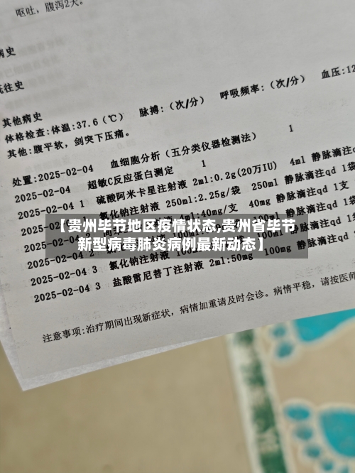 【贵州毕节地区疫情状态,贵州省毕节新型病毒肺炎病例最新动态】-第1张图片