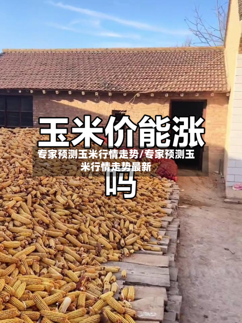 专家预测玉米行情走势/专家预测玉米行情走势最新-第3张图片