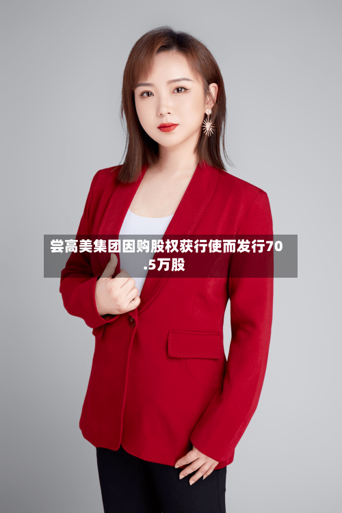 尝高美集团因购股权获行使而发行70.5万股-第1张图片