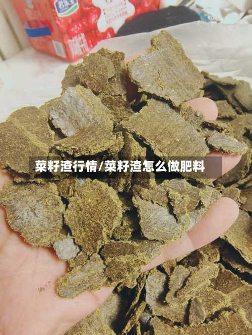 菜籽渣行情/菜籽渣怎么做肥料-第1张图片