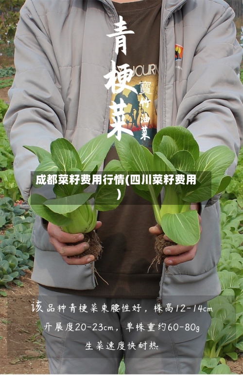 成都菜籽费用行情(四川菜籽费用)-第1张图片