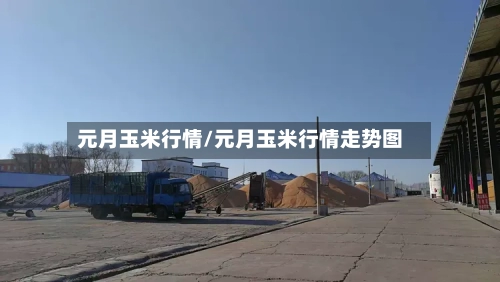 元月玉米行情/元月玉米行情走势图-第1张图片