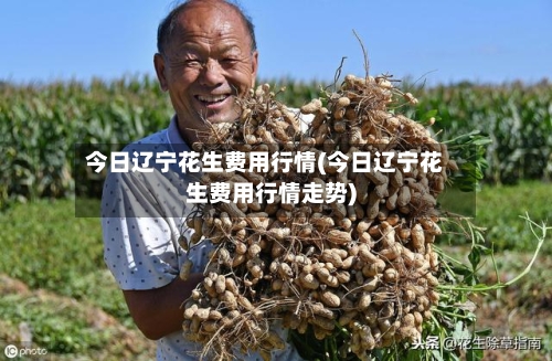 今日辽宁花生费用行情(今日辽宁花生费用行情走势)-第1张图片