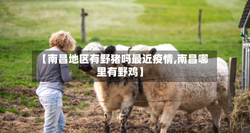 【南昌地区有野猪吗最近疫情,南昌哪里有野鸡】-第1张图片