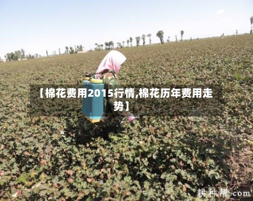【棉花费用2015行情,棉花历年费用走势】-第1张图片