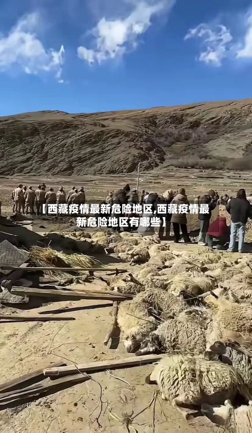 【西藏疫情最新危险地区,西藏疫情最新危险地区有哪些】-第1张图片