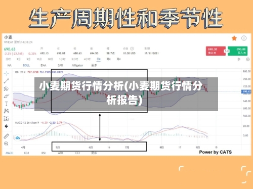 小麦期货行情分析(小麦期货行情分析报告)-第1张图片