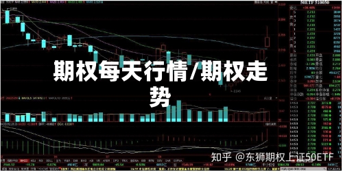 期权每天行情/期权走势-第3张图片