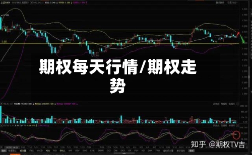 期权每天行情/期权走势-第1张图片