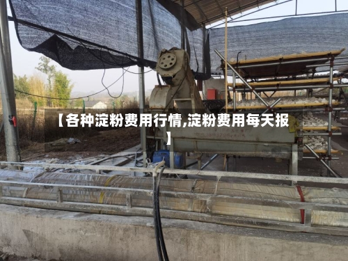 【各种淀粉费用行情,淀粉费用每天报】-第1张图片