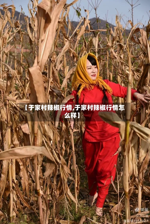 【于家村辣椒行情,于家村辣椒行情怎么样】-第1张图片