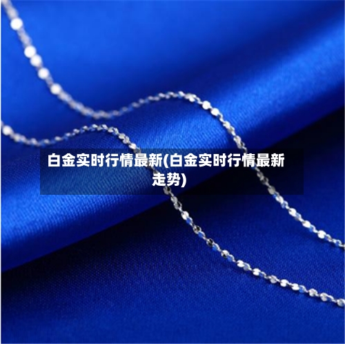 白金实时行情最新(白金实时行情最新走势)-第2张图片