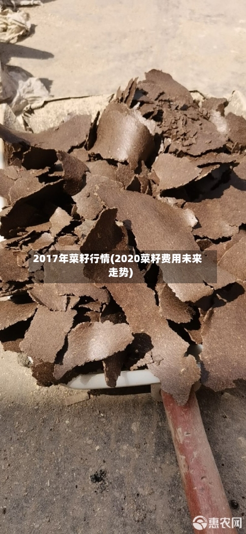 2017年菜籽行情(2020菜籽费用未来走势)-第1张图片