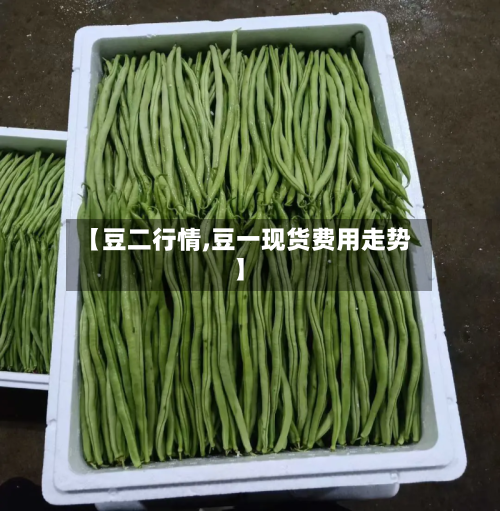 【豆二行情,豆一现货费用走势】-第2张图片