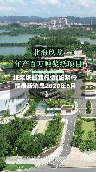 纸浆纸最新行情(纸浆行情最新消息2020年6月)-第1张图片