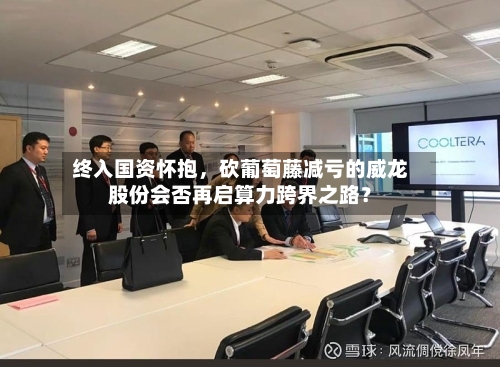 终入国资怀抱，砍葡萄藤减亏的威龙股份会否再启算力跨界之路？-第2张图片