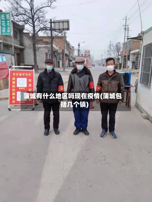 蒲城有什么地区吗现在疫情(蒲城包括几个镇)-第1张图片