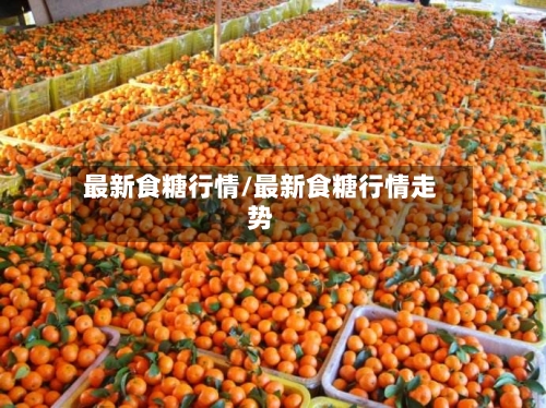 最新食糖行情/最新食糖行情走势-第1张图片