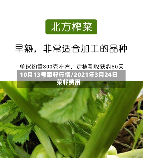 10月13号菜籽行情/2021年3月24日菜籽费用-第2张图片