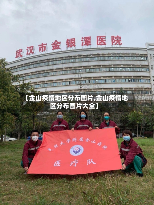 【金山疫情地区分布图片,金山疫情地区分布图片大全】-第3张图片