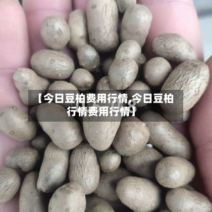 【今日豆柏费用行情,今日豆柏行情费用行情】-第1张图片