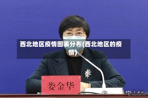 西北地区疫情图表分布(西北地区的疫情)-第1张图片