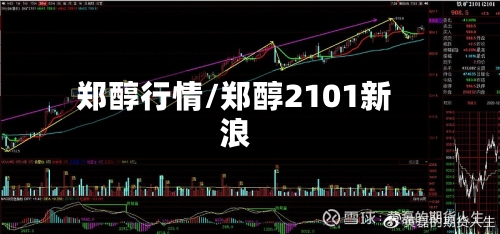 郑醇行情/郑醇2101新浪-第1张图片