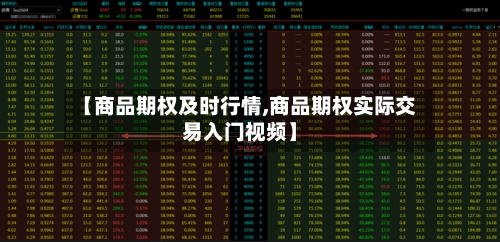 【商品期权及时行情,商品期权实际交易入门视频】-第1张图片