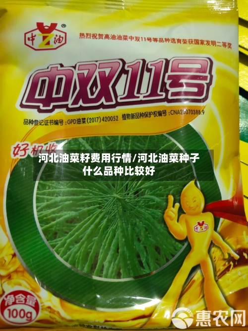 河北油菜籽费用行情/河北油菜种子什么品种比较好-第3张图片
