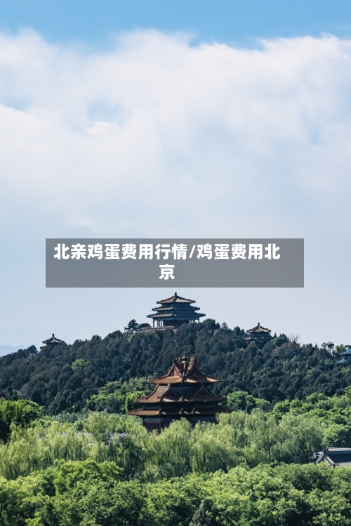 北亲鸡蛋费用行情/鸡蛋费用北京-第2张图片