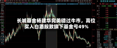 长城基金杨建华完美错过牛市，高位买入白酒股致旗下基金亏49%-第1张图片