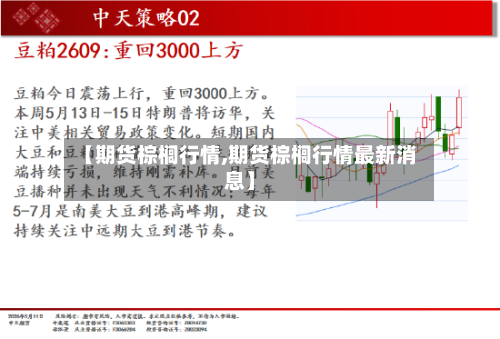 【期货棕榈行情,期货棕榈行情最新消息】-第1张图片