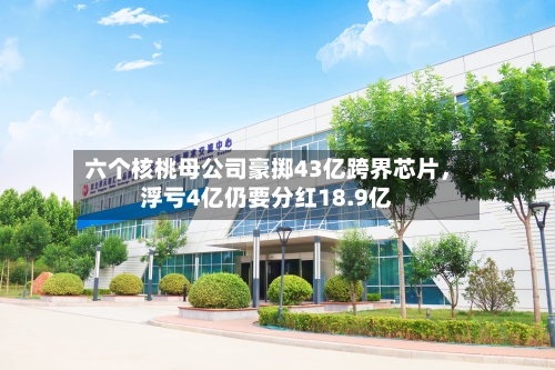 六个核桃母公司豪掷43亿跨界芯片，浮亏4亿仍要分红18.9亿-第1张图片