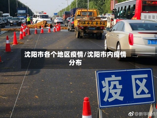 沈阳市各个地区疫情/沈阳市内疫情分布-第3张图片