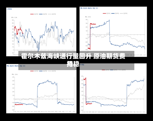 霍尔木兹海峡通行量回升 原油期货费用
持稳-第1张图片