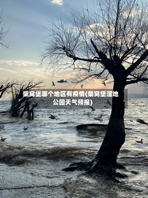 柴窝堡哪个地区有疫情(柴窝堡湿地公园天气预报)-第1张图片