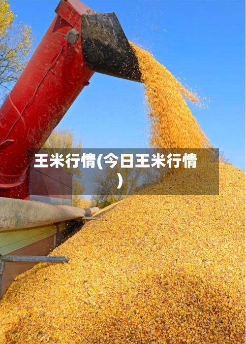 王米行情(今日王米行情)-第3张图片