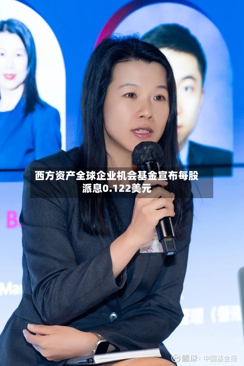 西方资产全球企业机会基金宣布每股派息0.122美元-第3张图片
