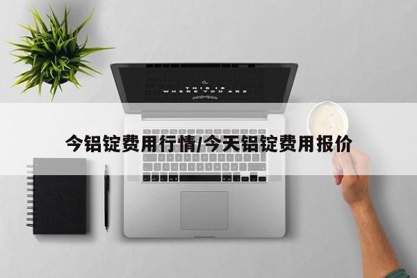 今铝锭费用行情/今天铝锭费用报价