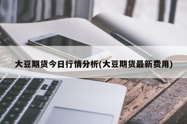 大豆期货今日行情分析(大豆期货最新费用)