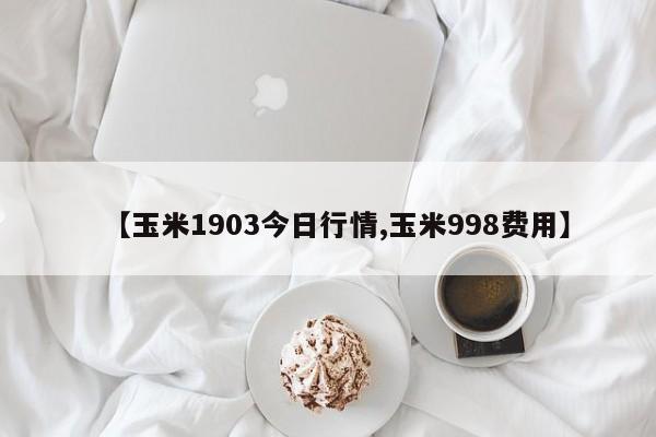 【玉米1903今日行情,玉米998费用】